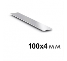 Полоса металлическая 100х4 мм