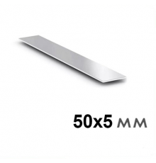 Полоса металлическая 50х5 мм